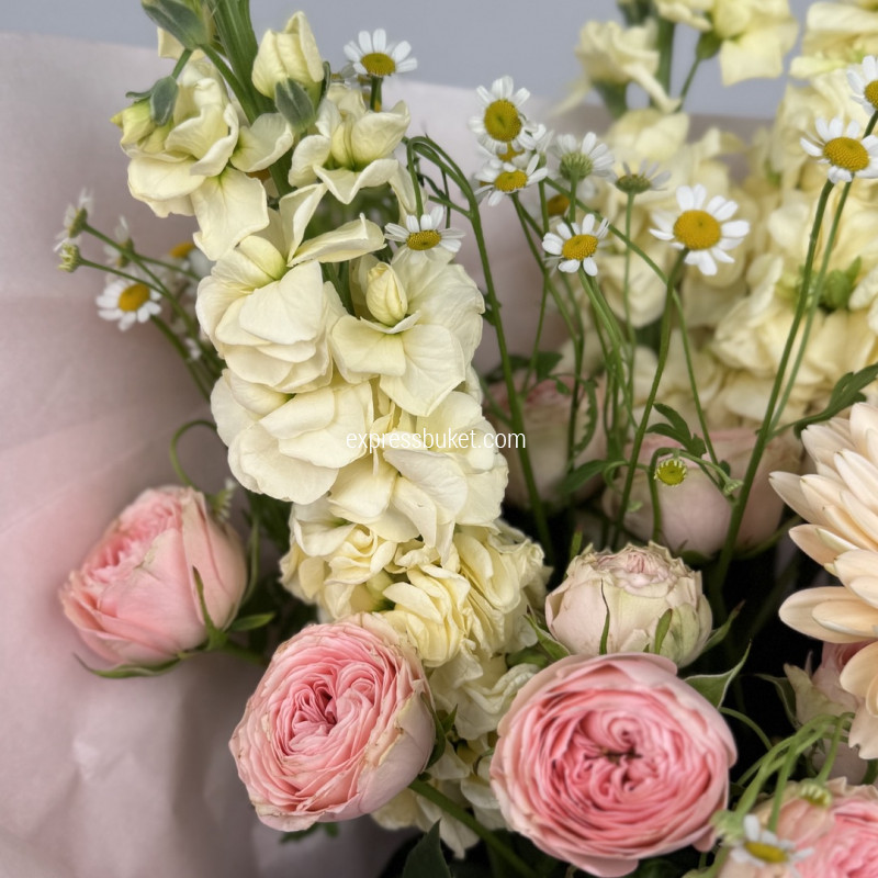 Теплое настроение