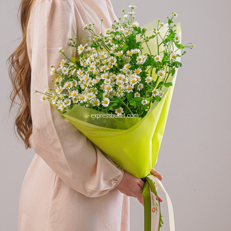 Подари улыбку