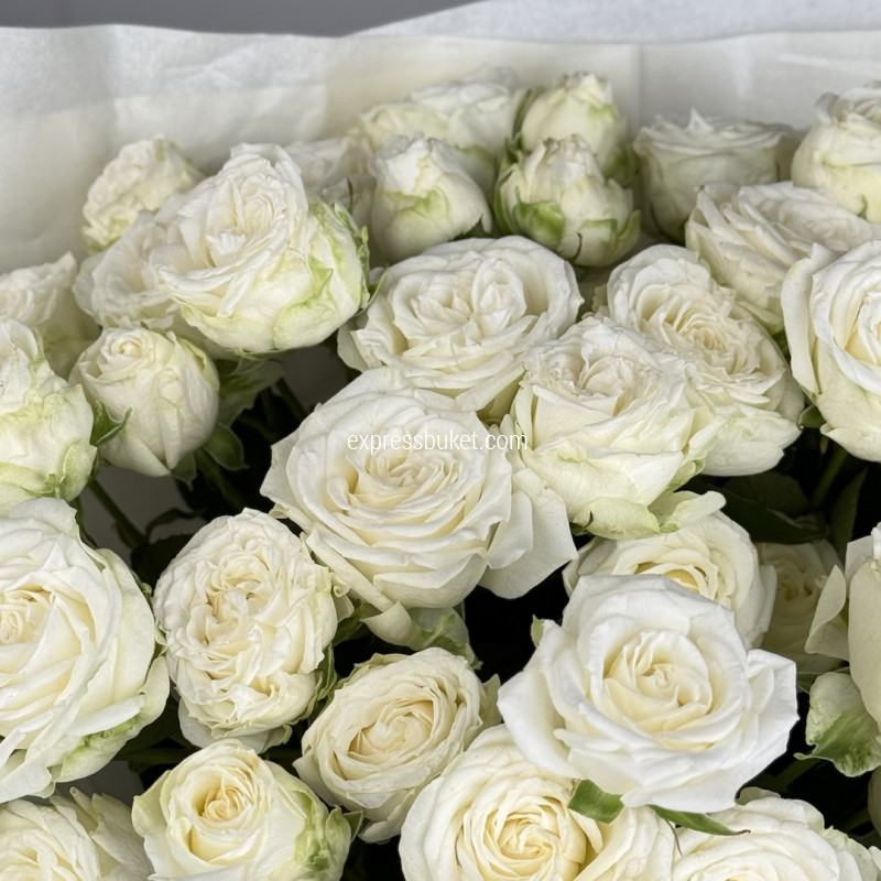 Букет из 11 кустовых пионовидных роз