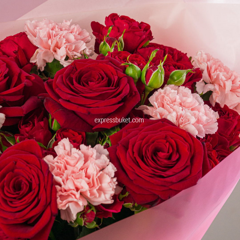 Розы и диантусы