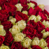 101 роза 40 см