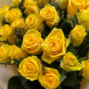 Букет из 25 желтых роз